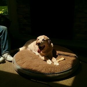 Meet your Posher, Scott